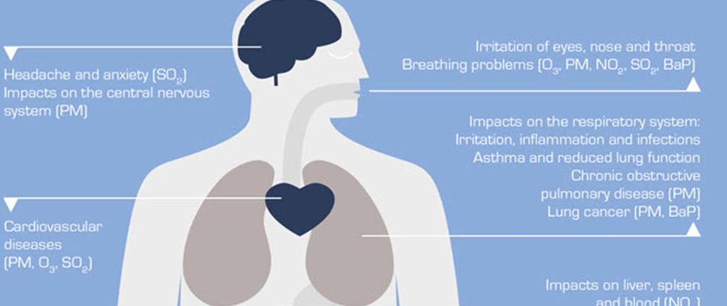 Cuáles son los Efectos del Dióxido de Azufre en la Salud?