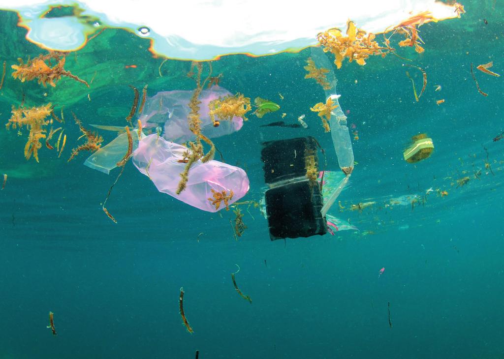 Volvo Ocean Race Guía para los profesores Tema 2 Qué es la contaminación por plásticos en el océano?
