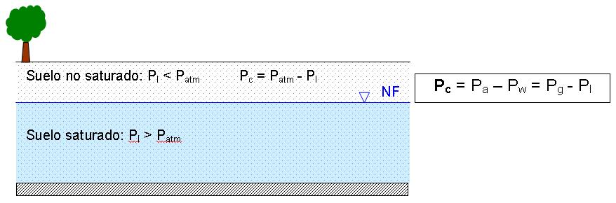 Esta presión negativa, expresada en altura de columna de agua, se llama succión o tensión. Recordemos que el nivel piezométrico (h) se expresa como sigue: Pw h= z+ ρ g Siendo g = 9.