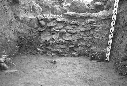 MEMORIAS DE ARQUEOLOGÍ A Lámina 4: Detalle del alzado de muro de la Fase en el interior del torreón 7003. U.E. 7023: Estrato arqueológico.