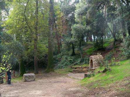 Informe de proyecto ejecutado Proyecto de adecuación de los cauces y zonas verdes, urbanización Font de Sant Joan.