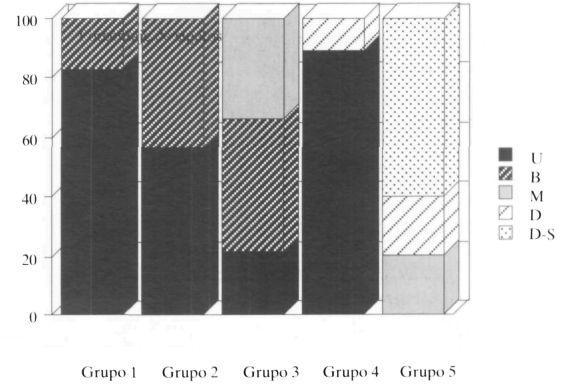 NIVEL DE INSTRUCCIÓN El análisis de Kruskal-Wallis realizado nos mostró la existencia de diferencias significativas en los factores patrón de movimiento de las manos (X= 23,4821 p<.