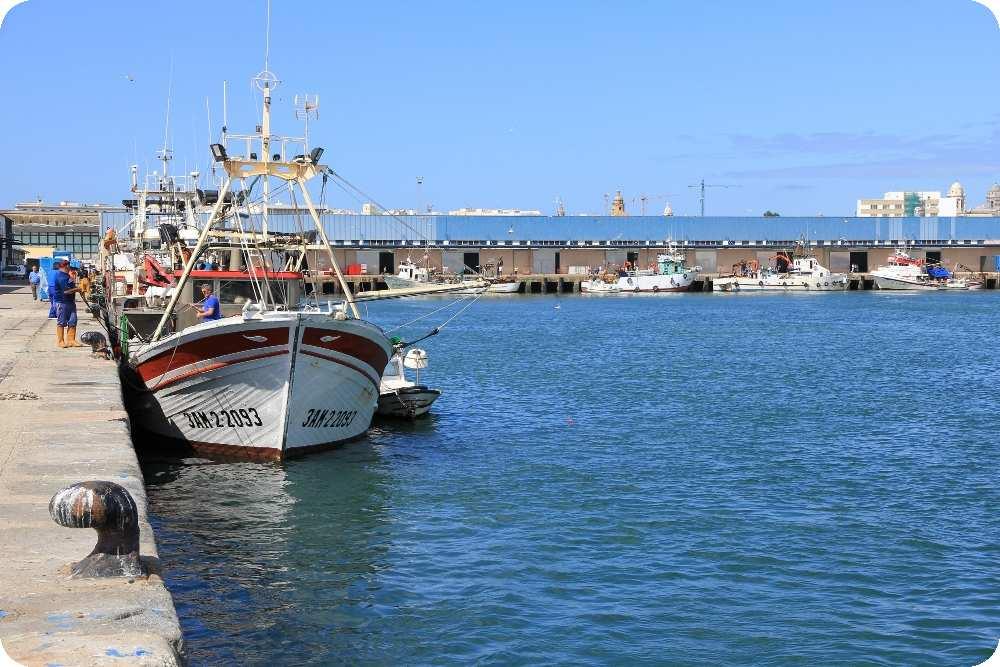 En cuanto al número de embarcaciones registradas, el puerto de se asemeja a puertos como el Roquetas de Mar o El Puerto de Santa