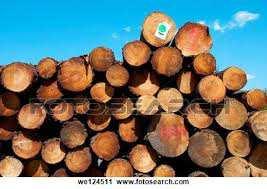 madera para uso