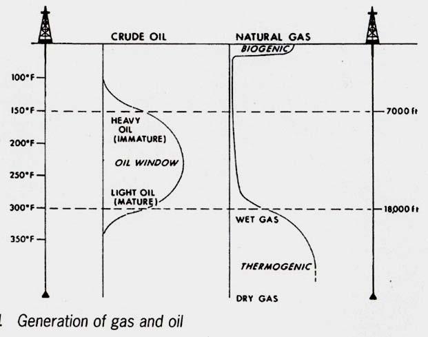 La generación de gas biogénico decrece con la profundidad, debido a que la acción bacteriana decrece cuando se incrementa la temperatura.