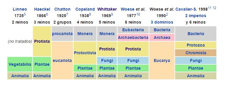 Características Generales Eucariotas sin cloroplastos, heterótrofos. Micología, grupo heterogéneo, polifilético, pertenecientes al menos a tres líneas evolutivas independientes.