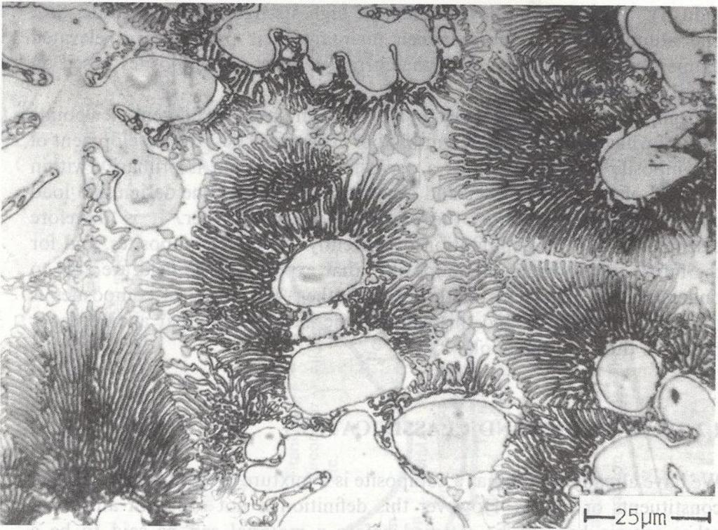 6 Figura 2-2: Micrografía de una aleación de Co-Cr-Mo-Si con una microestructura multifásica Figura 2-3: Micrografía obtenida por microscopía