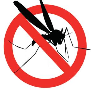 El contagio a las personas se produce a través de la picadura de un mosquito-flebotomo que se ha contagiado previamente al picar a un animal enfermo.