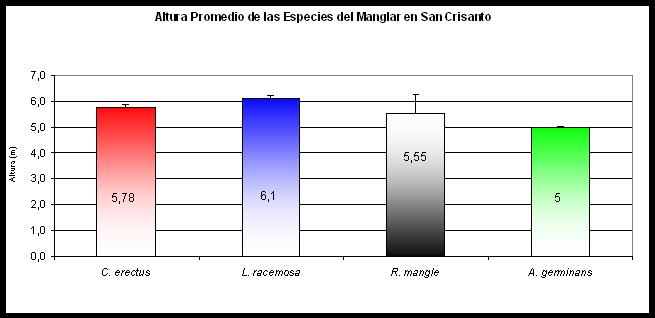 Los diámetros promedios por especie para la zona son R. mangle de 7.