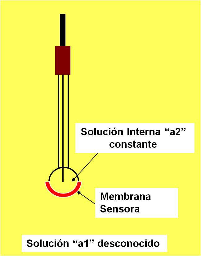 Normalmente, este electrodo se prepara con una solución saturada de cloruro de potasio, siendo su potencial a 25 C de + 0,197 V respecto al electrodo estándar de hidrógeno.