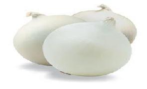) Cebolla seca blanca, mediana, importada (quintal) Tendencia: Se espera para la próxima semana una oferta y una demanda similar a la semana actual. 51.67 76.67 25.