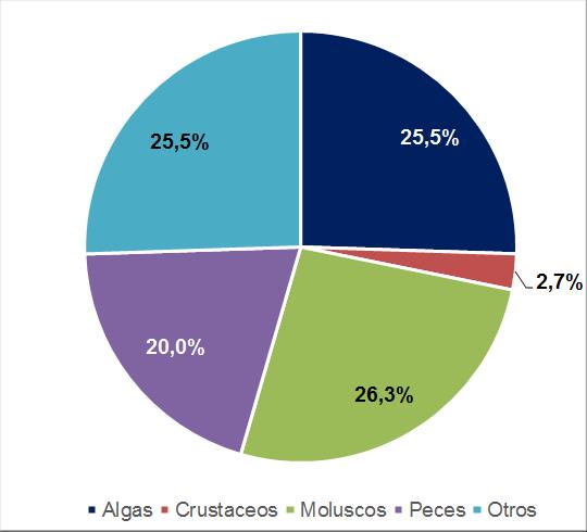 En el período de análisis, los Moluscos registraron la mayor participación en el Desembarque Artesanal con 26,3%, equivalente a 2.355 toneladas extraídas, disminuyendo 6,8% en doce meses.