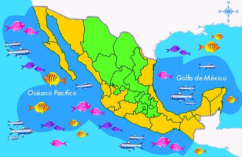 Litoral de México México tiene 11 500 kilómetros de litorales, que significan un gran potencial de recursos pesqueros; sin embargo, la actividad pesquera no está lo suficientemente desarrollada.