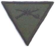 Se borda en hilo negro sobre tela poliéster-nylon/algodón, verde olivo y camuflajeado selva para el personal del Ejército y azul aéreo para el personal de la Fuerza Aérea; únicamente los porta