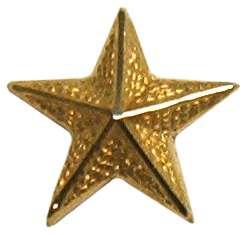 190 B. Jefes: la estrella es dorada, estriada, de cinco picos e inscrita en un círculo de 20.0 milímetros de diámetro (ver Fig.
