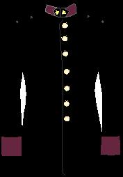 el uniforme de campaña en ceremonias, desfiles y actos militares que por su solemnidad lo ameriten. ARTÍCULO 202.