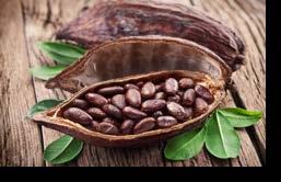 ) Cacao en grano: 2.295 ($us.