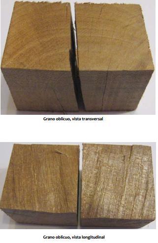 ) con respecto al eje longitudinal del tronco, en su sección radial o tangencial.