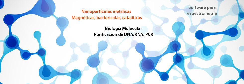 Protocolo Objetivo: aislamiento de ácidos nucleicos totales de una muestra de cultivo bacteriano. 1.