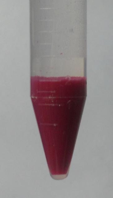 Magnacryl Dye - Purificación por afinidad con colorantes Resina acrílica para purificación de proteínas por afinidad con colorantes mediante separación magnética.