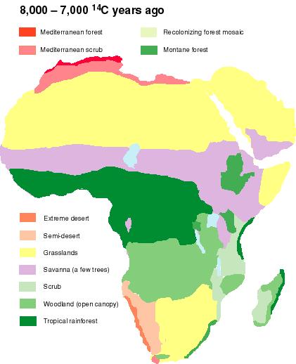 Niger-Congo - Nilo Saharianos - Este de Africa - Próximo Oriente y Norte de Africa - Los Bereberes - Madagascar Intro Actualmente el continente