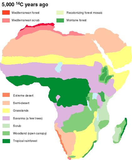 intermedios. Los biomas de Africa en la actualidad. Sin embargo, esta distribución no ha sido así siempre.
