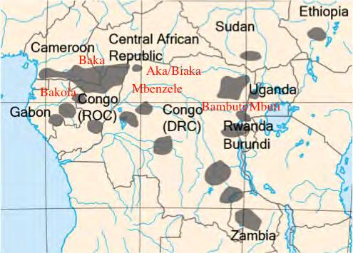 Entre los principales grupos actuales se encuentran, en el oeste: Aka o Biaka (República Centroafricana, República del Congo) Baka (Camerún, Gabon, República del Congo) Bakola (Camerún) Mbenzele
