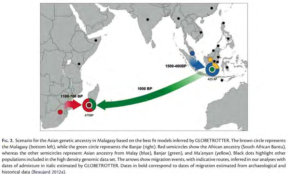 En un trabajo más reciente, a partir de genomas completos, se ha confirmado la composición del patrimonio genético de la población malgache, concretando aún más su orígen.
