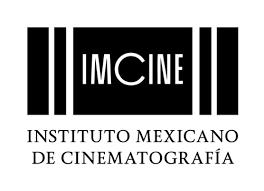 Instituto Mexicano de Cinematografía Shorts México, Festival