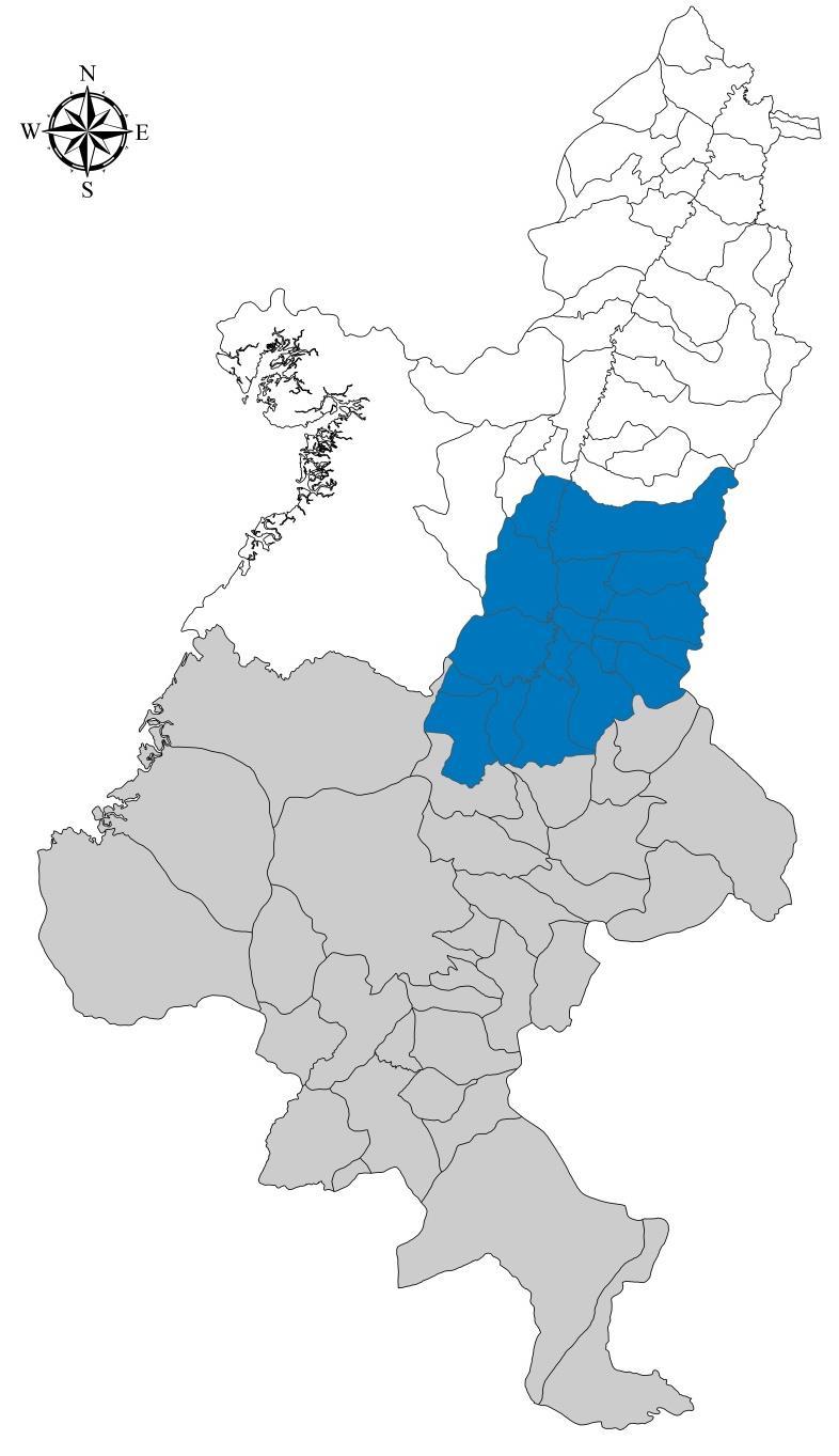 Gran Cali - Conformado por 10 municipios del norte del Cauca y 9 municipios del área de conurbación de Cali - 13,1% de la superficie - 57,1% de la población - 65,3% del PIB (2013) - 75,7% de los