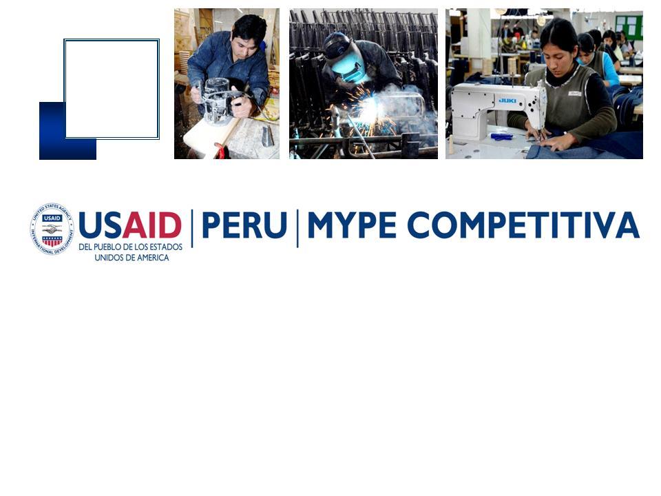 Apoyo de USAID MYPE COMPETITIVA para la Internacionalización de las Mypes Cámara