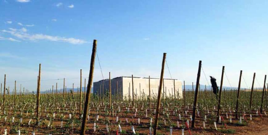 Estudio de caso Riego híbrido, España 2016 Contexto y desafíos Finca de cultivo de manzanas de 18 ha en el norte de España (830