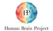 Participan 87 grupos de investigación. www.humanbrainproject.eu http://flagera.