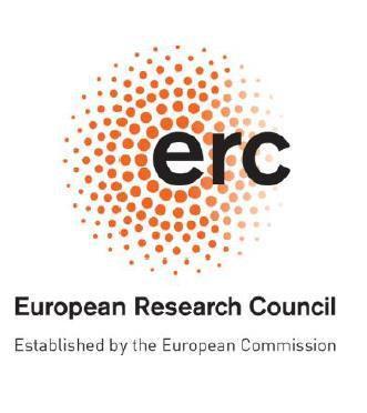 II. The European Research Council (ERC) "The European Research Council (ERC)" shall provide attractive and flexible funding to enable talented and creative individual researchers and their teams to