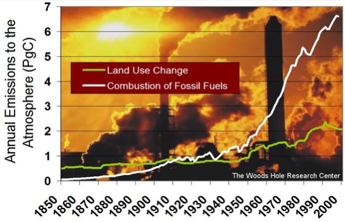 Introducción Causas del Calentamiento Global Aumento del Carbono Atmosférico 20012008 Pronóstico Anterior Peor Caso: +2.