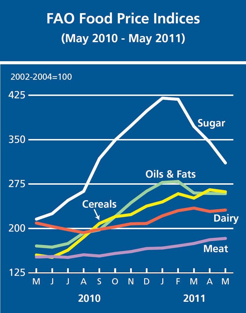 1. Panorama de la Inseguridad Alimentaria Precios de los alimentos 40% más altos hoy que hace 4 años Oportunidades