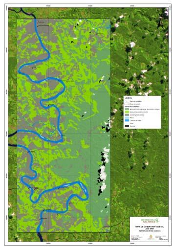 MAPAS DE COBERTURA VEGETAL Las operaciones de reforestación se