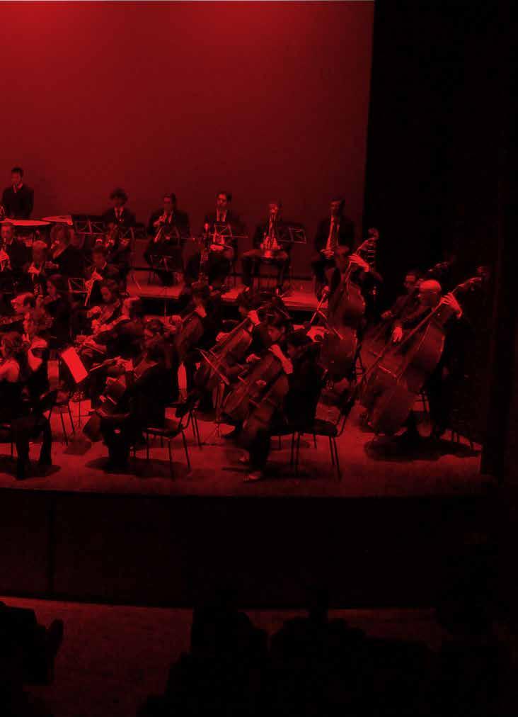 PLAN DE ESTUDIOS VIOLÍN, VIOLA, VIOLONCHELO, CONTRABAJO, FLAUTA, OBOE, CLARINETE, FAGOT, SAXOFÓN, TROMPETA, TROMPA, TROMBÓN, TUBA, PERCUSIÓN 1ºAÑO Instrumento I (anual) Orquesta I (anual) Práctica