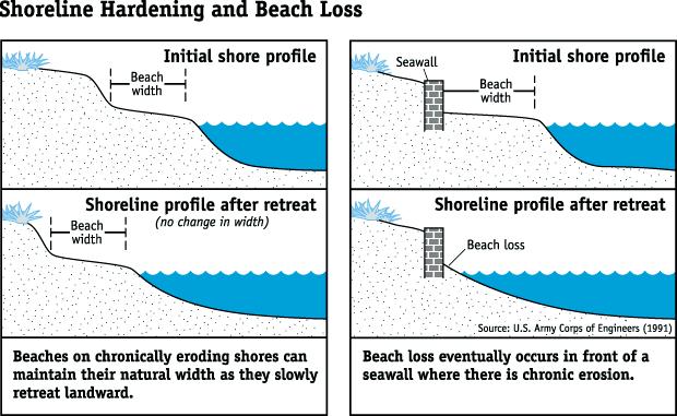Procesos de erosión y pérdida