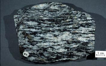 Las rocas formadas de esta manera son: Carbón: por acumulación de restos vegetales en zonas continentales.