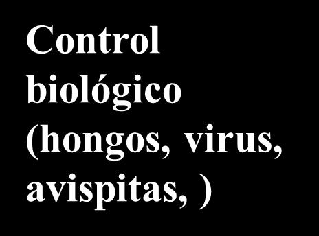 (hongos, virus,