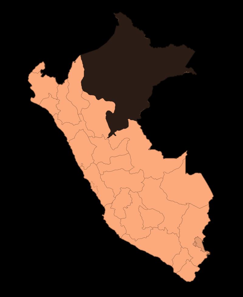La Trata de personas en el Perú Incidencias Loreto, y la Selva Central son zonas privilegiadas para la captación así como para la explotación.