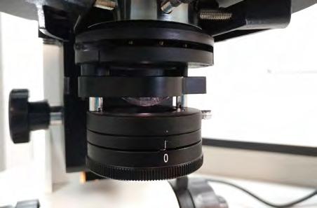 Microscopio Optech Microscopio Nikon Condensador Algo parecido ocurre con la lente