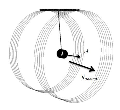 Figura 2. En la bobina de Helmholtz se produce un campo aproximadamente uniforme, dicho campo interactúa con el iman, produciendo un par cuya magnitud es m B Sen(θ). Figura 3.