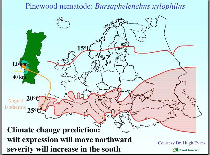 Escenario climático: detección del PWN en centro y norte