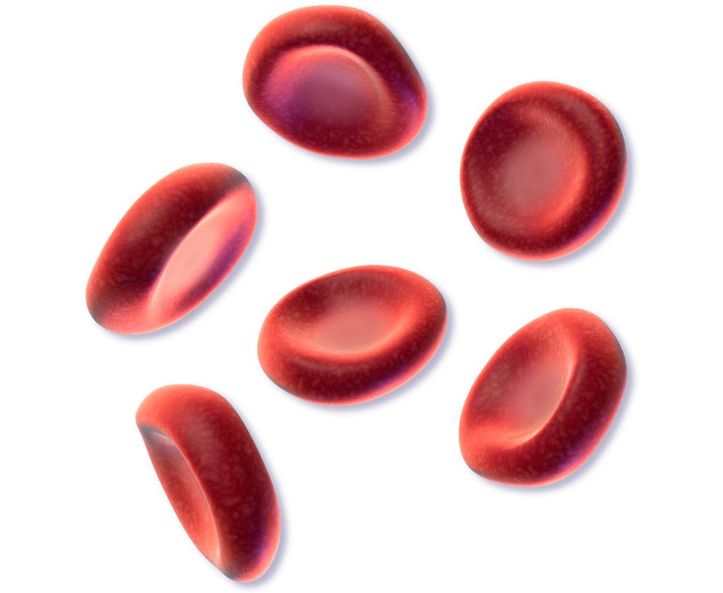 Hay entre 12-18 g Hb/ 100 ml sangre, siendo la cantidad en los hombres ligeramente mayor (13-18 g/dl) que en las mujeres (12-16 g/dl).