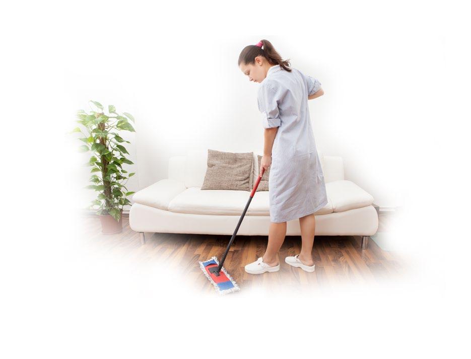 Buenas prácticas preventivas para empleados de hogar - FVI41 Conocer buenas prácticas preventivas para los empleados de hogar. Introducción.
