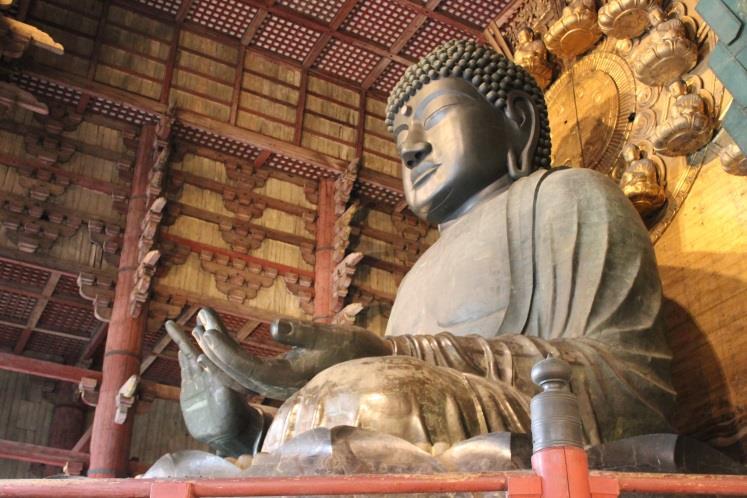 A continuación, Salida hacia Nara para conocer el Templo Todaji(*) con su enorme imagen de Buda y el Parque de los Ciervos Sagrados. Almuerzo en un restaurante local.