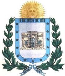 Ciudad de San Miguel de Tucumán 15 en promedio +32,7% Variación N de Puestos Participación Sáenz Peña 0 5.7 37.8% 24 de Septiembre 0 5.0 33.