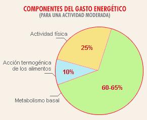Necesidades energéticas del organismo Metabolismo basal Energía empleada en el mantenimiento de las funciones vitales básicas Habitualmente 60-75% del consumo energético o o o o Funcionamiento del